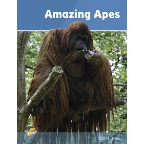 Amazing Apes
