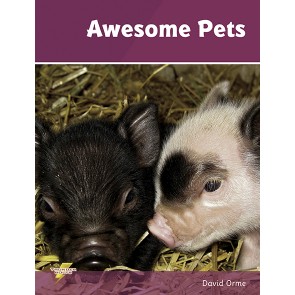Awesome Pets