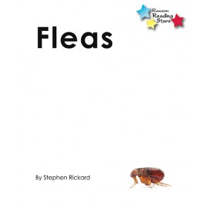 Fleas