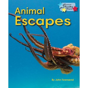Animal Escapes