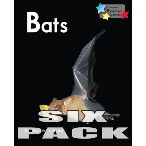Bats 6-Pack