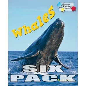 Whales 6-Pack