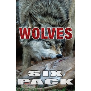 Wolves  6-Pack