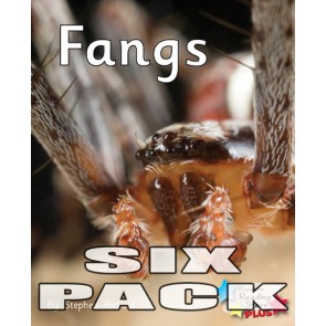 Fangs  6-Pack