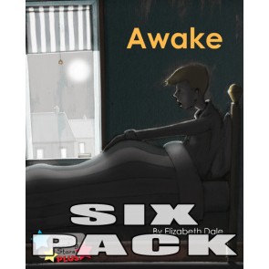 Awake  6-Pack