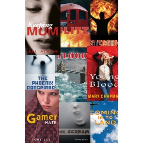 Secondary Accelerated Reader Pack MY+/UY 4.0 - 4.9 Pack A